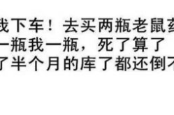 娱乐吃瓜经典语录搞笑,娱乐吃瓜经典语录，幽默解析生活百态