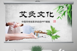 日本人文艺术ppt,插画风魅力与传统文化交融