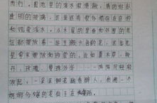 难忘的中秋节400字作文,月圆人团圆