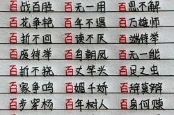 百开头的成语,丰富内涵与多彩寓意