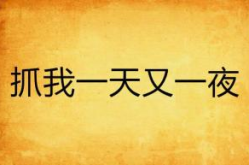 一夜又一夜谜底答案,一夜又一夜，谜底竟是它！”