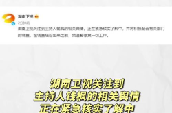 娱乐圈吃瓜运营模式,流量变现的暗流涌动