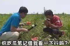 晋江娱乐圈吃瓜文,吃瓜成瘾，逆袭成顶流